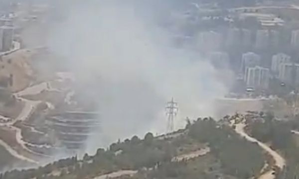 Narlıdere'de orman yangını